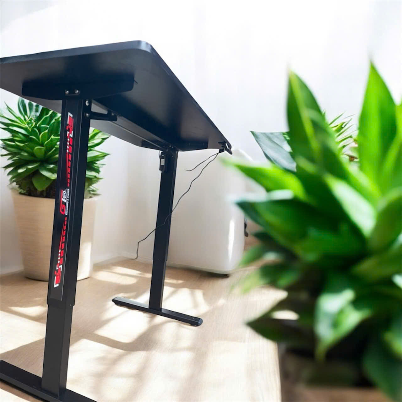 z7281263854612_7dd23a12e7904b6f3407ed33d57a9401