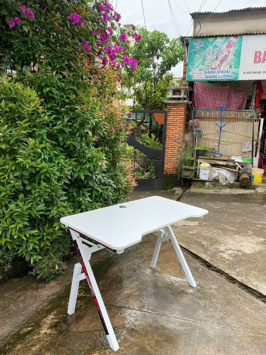 z7281185856686_61df7cdb34c9a1fa2171babd559cf972